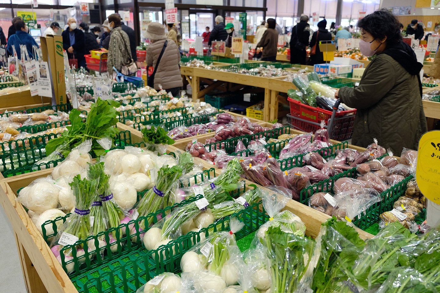 🚗 후레아이노사토 하스 파크 도로 휴게소 (미치노에키 후레아이노사토 하스 파쿠)